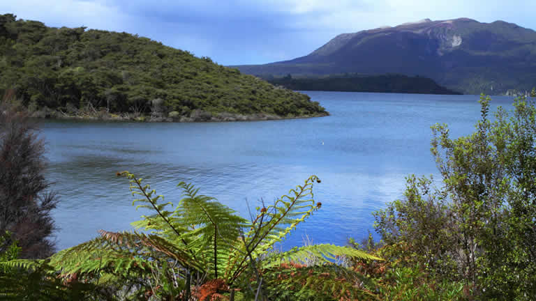 Lake Tarawera stay nearby in Taupo at Riverside apartment