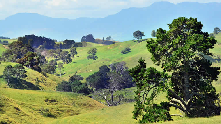 LOTR Hobbiton, Matamata, New Zealand