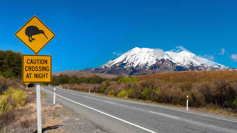 Kiwi crossing, NZ road sign Taupo Accommodation