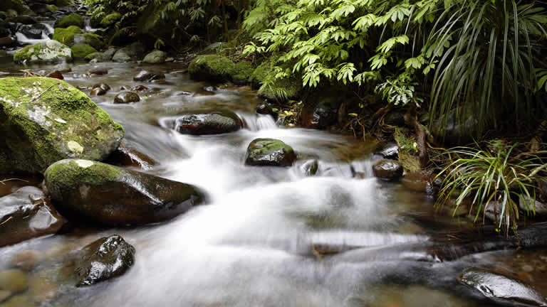 NZ beauty river