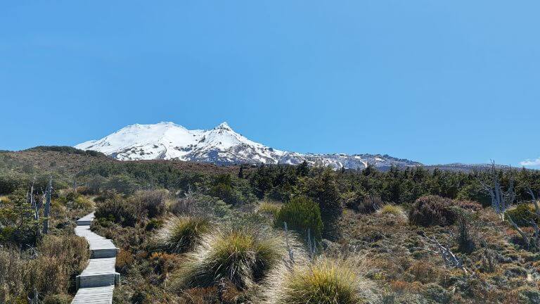 Round the Mountain (Ring of Fire) southern slopes Mt Ruapehu boardwalk, book accommodation Taupo