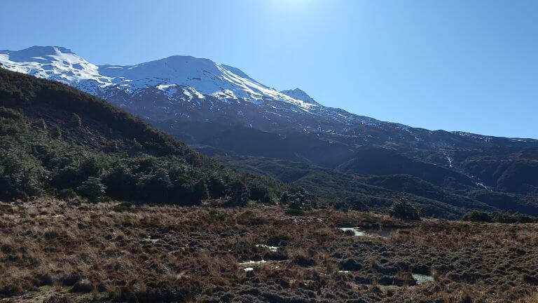 Round the Mountain (Ring of Fire) Mangaturuturu valley, book accommodation Taupo