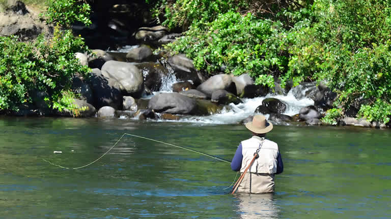 Trout fishing Tongariro, near Taupo